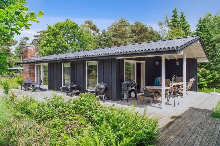 Ferienhaus mit Hund in Nykøbing Sj Sogn, Seeland fuer max. 10 Personen