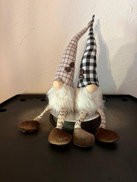 foto11
