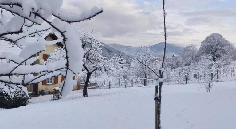 Holiday apartment with 2 rooms for 4 persons — photo 3