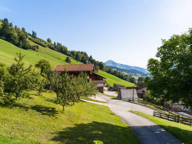 foto23