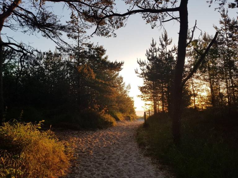 foto21