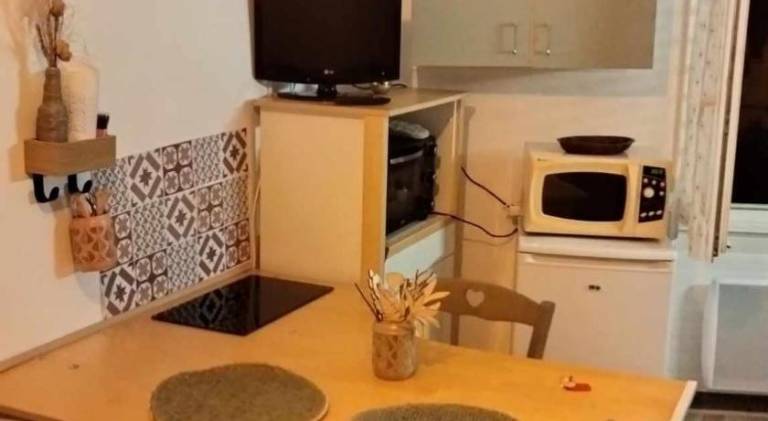 Rental apartment with 1 room for 2 persons — photo 5