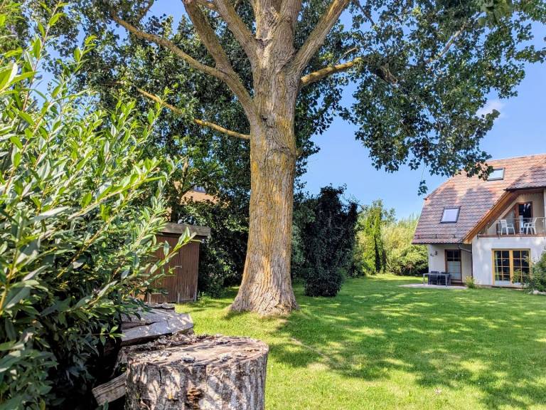 Ferienhaus  Amt Darß/Fischland