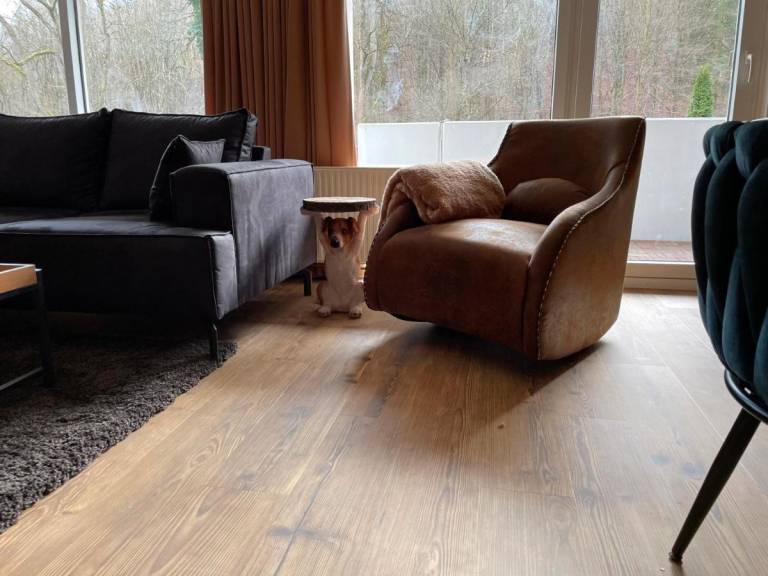 Lovely holiday apartment with sauna & pool | Pets are welcome — photo 3