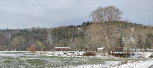 foto6