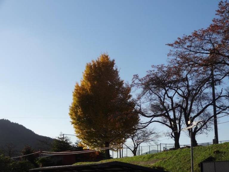 foto3
