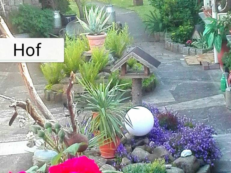 Ferienbungalow 1