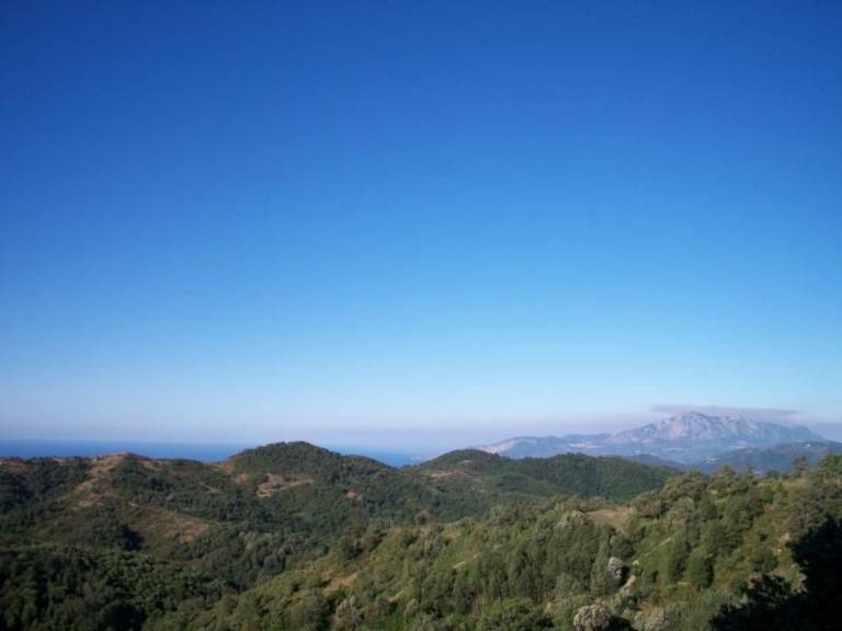 foto8