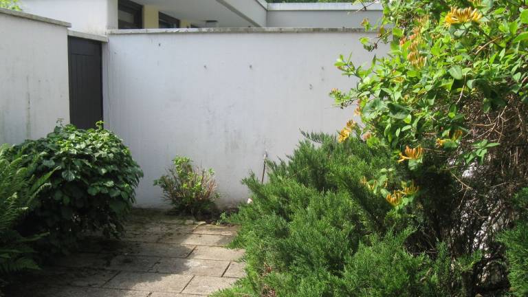 foto12