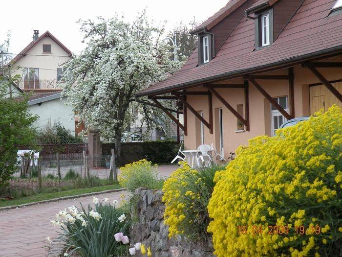 Gîte Thann
