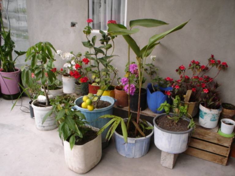 foto8