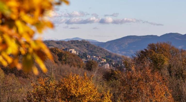 Farm with 1 room for 2 persons in Gorizia