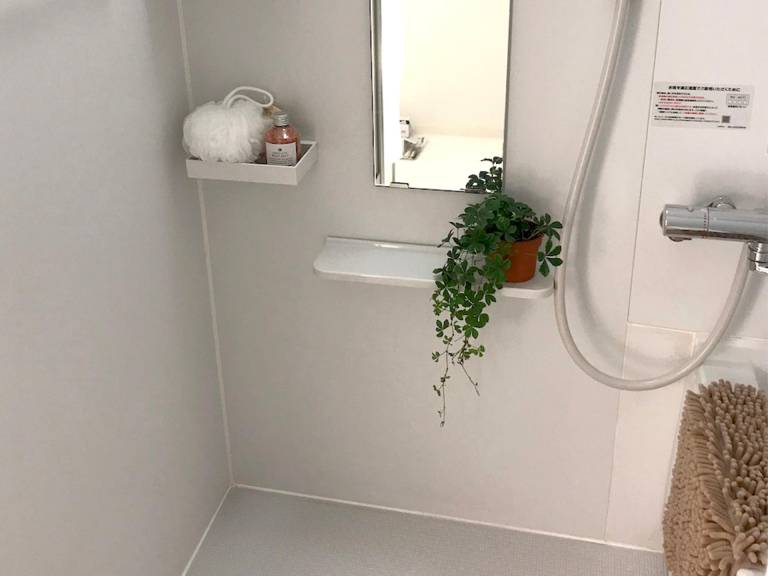 foto7