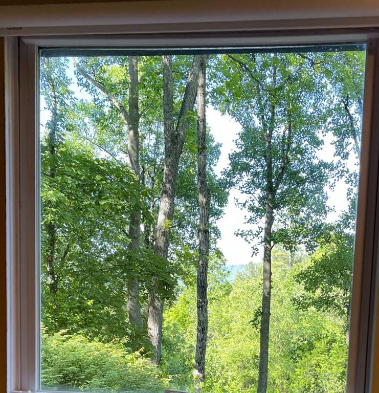 Cabin Asheville