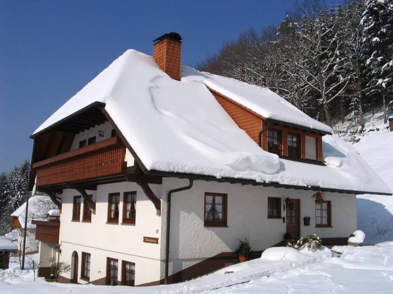foto19