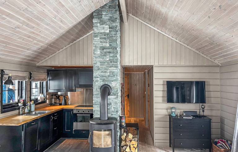Feriehus  Hovden i Setesdal