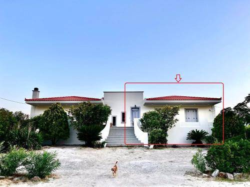 House Mirina
