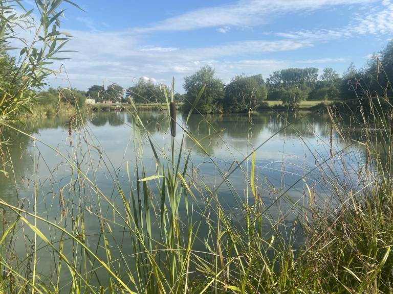 foto14