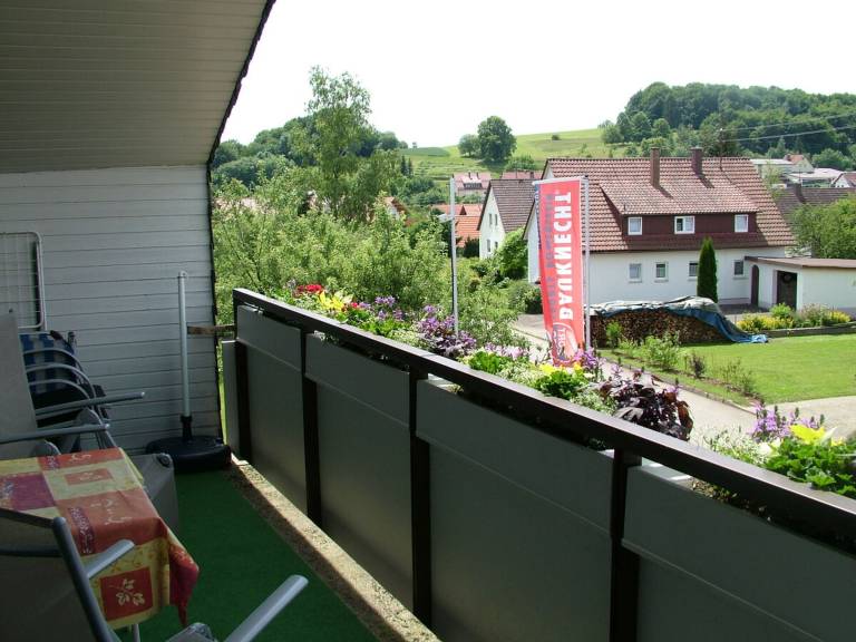 foto5