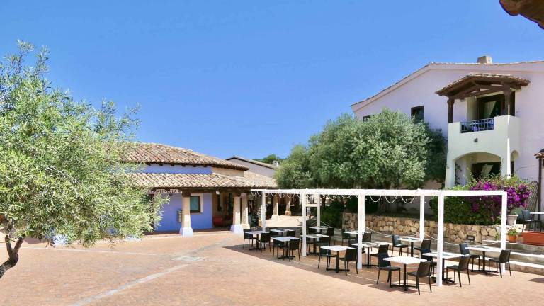 Nice holiday apartment with yard & terrace | Beach nearby | Pets allowed — photo 3