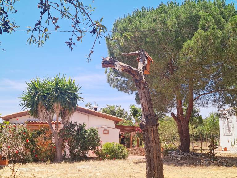 Vacation home with BBQ, patio & garden | Mountain view — photo 3