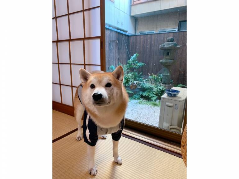 Vacation home | Close to Nijō Castle | Suitable for remote work in Kyoto