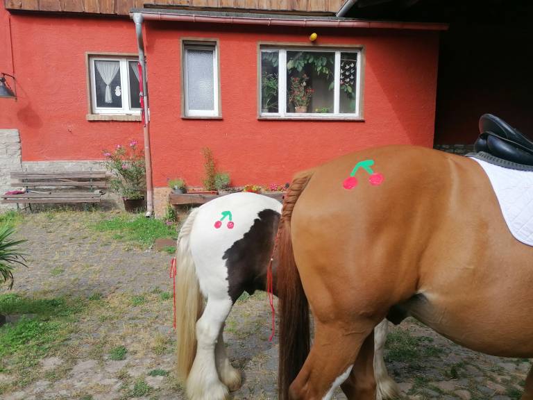 foto20