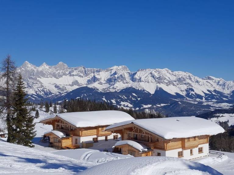 Ferienhaus Forstau