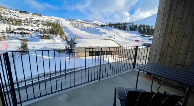 Beautiful serviced apartment with patio | Next to the ski | Pet-friendly — photo 4