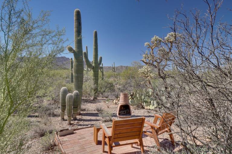 Unwind Poolside Scenic Sonoran Desert Retreat