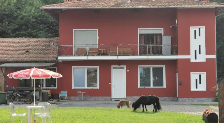 The Horse in Orta San Giulio