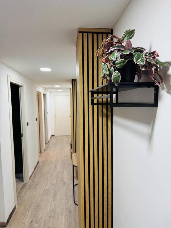 Beautiful apartment | Pets are welcome — photo 4