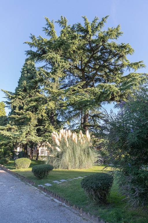 Villa Roverbella