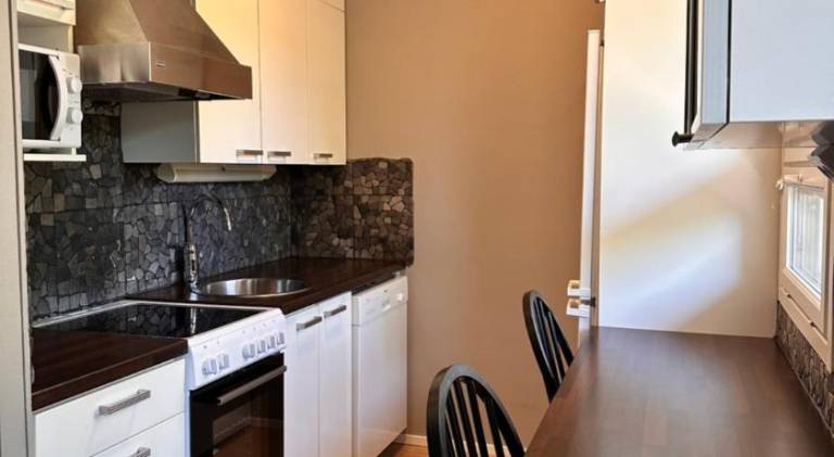 Pleasant rental apartment | Close to Arktikum Science Museum | Pets are welcome — photo 4