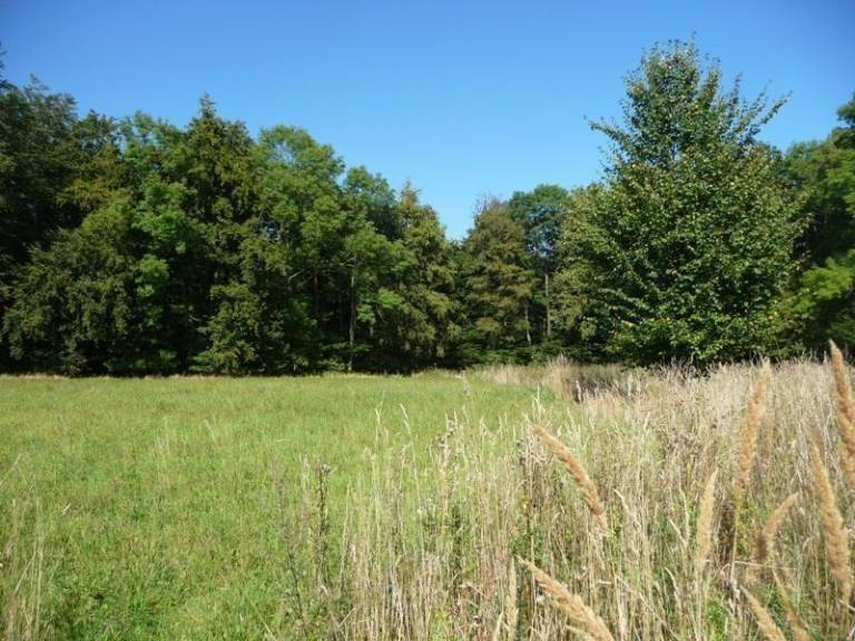 foto11