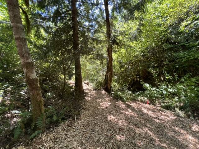 foto48