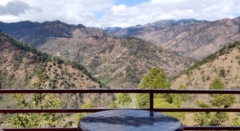 Chamba Nest — photo 3