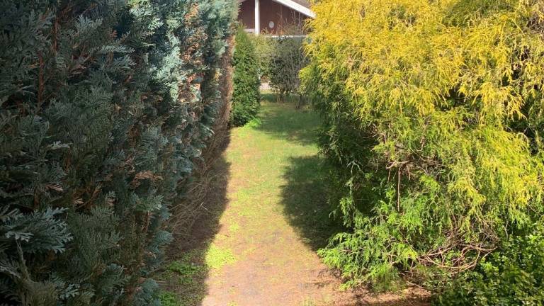 foto14