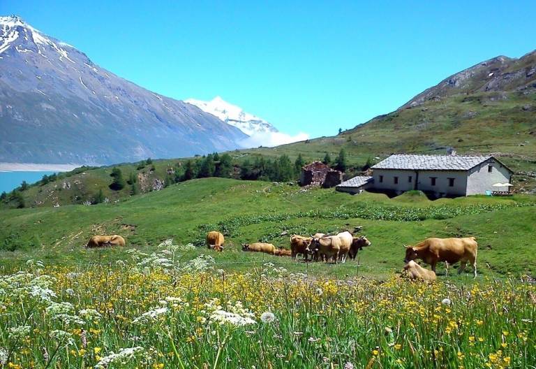 Chalet Lanslebourg-Mont-Cenis