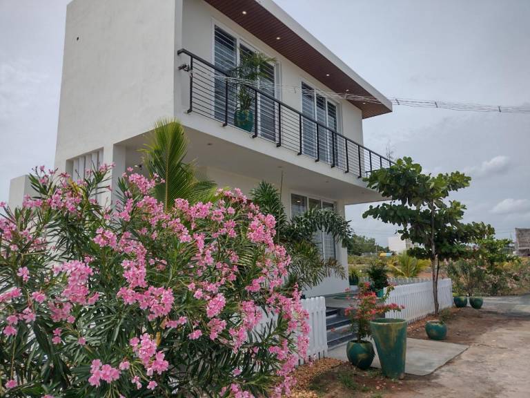 Bay Bliss ECR