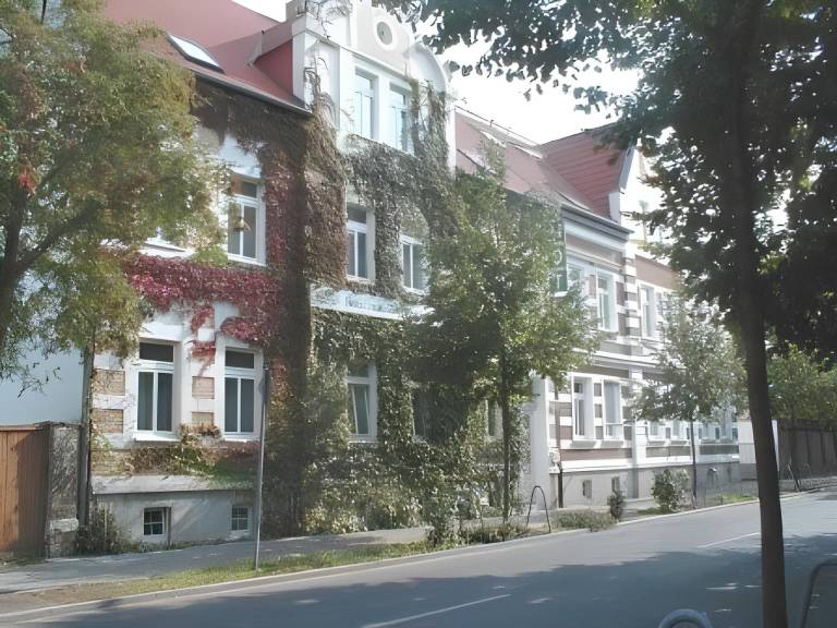 Hotel Zum Goldenen Lowen in Merseburg