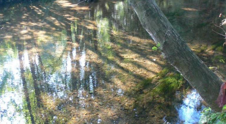 foto36