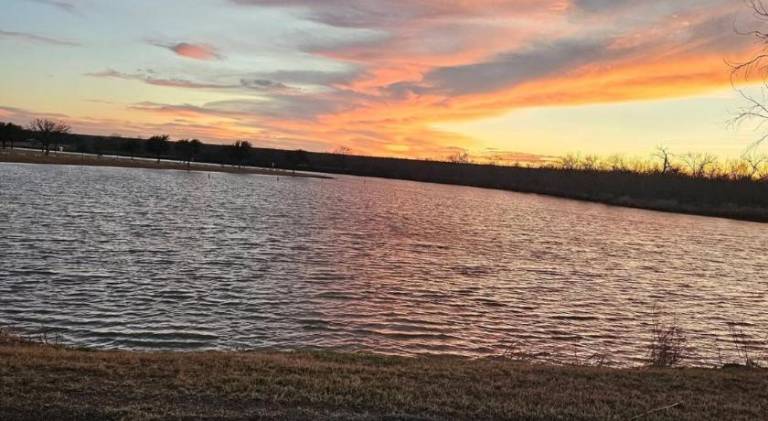 House | Pets are welcome in San Angelo, TX
