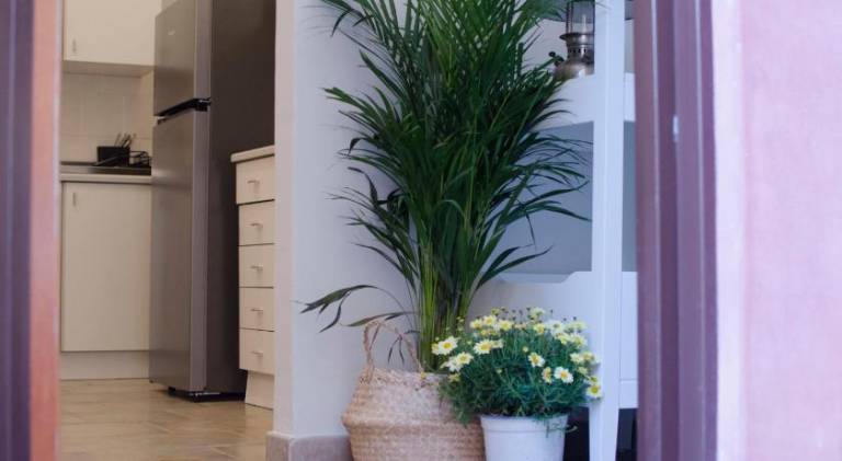Wonderful house | Close to Monastery of San Nicolò l'Arena | Pets are welcome in Catania