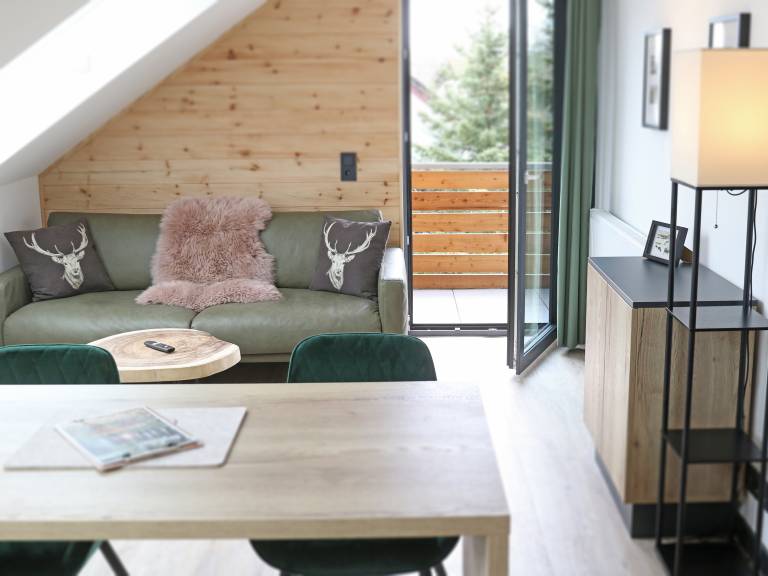 Rental apartment with yard | Mountain view in Braunlage