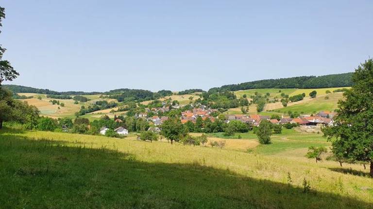foto2