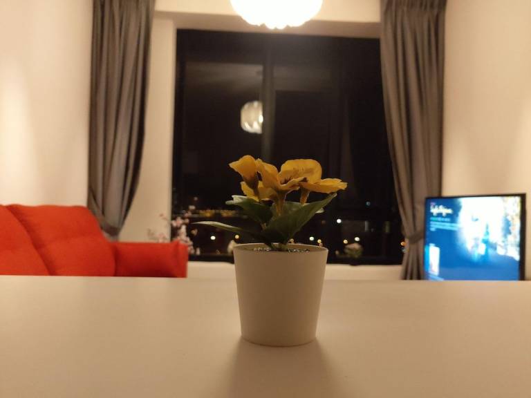 foto35
