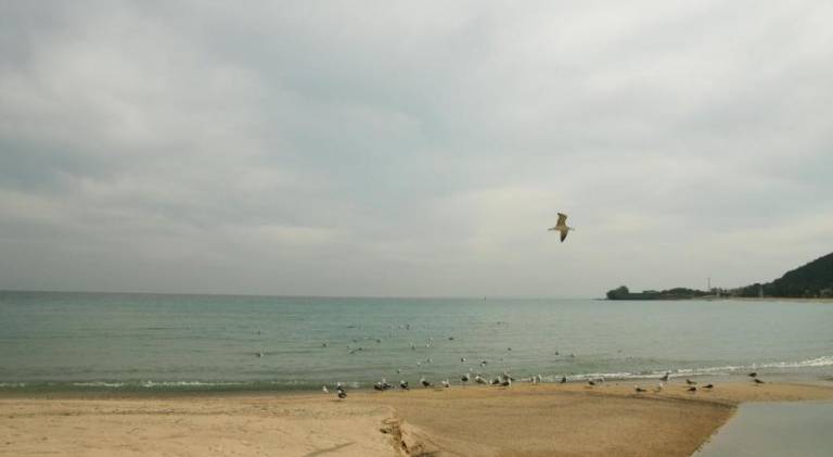 foto12