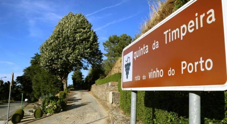 foto42