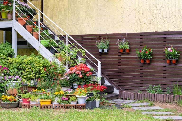 foto20